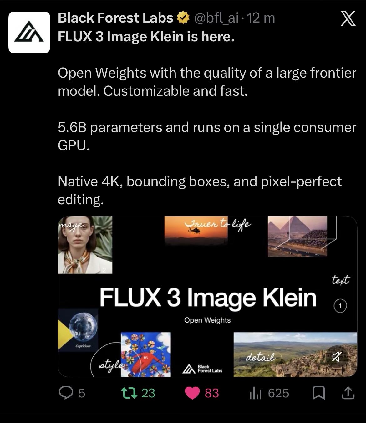 Collage d'annonce de FLUX 3 Image Klein à poids ouverts par Black Forest Labs, avec les étiquettes image, fidèle à la réalité, texte, style, détail et boîte englobante